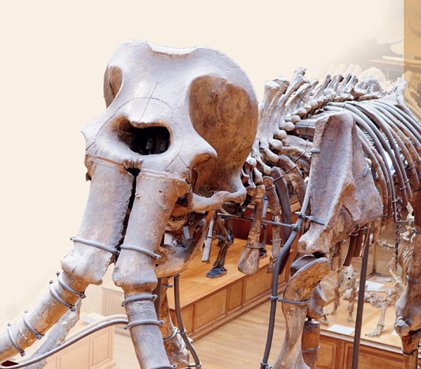 Museums, monuments and more!