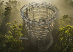 Free admission to all Teachers and SNAs at Beyond the Trees Avondale